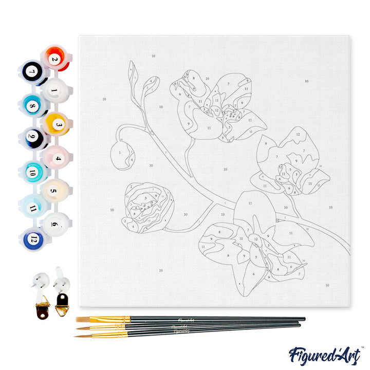 Mini Malen nach Zahlen mit Rahmen 20x20cm - Orchideenzweig
