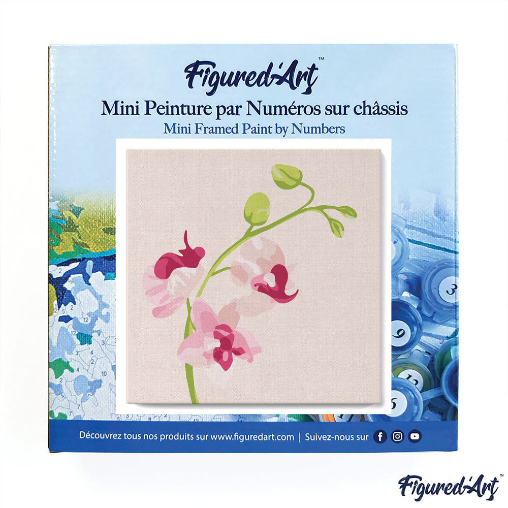 Mini Malen nach Zahlen mit Rahmen 20x20cm - Orchideenzweig 2 - Kidis Art