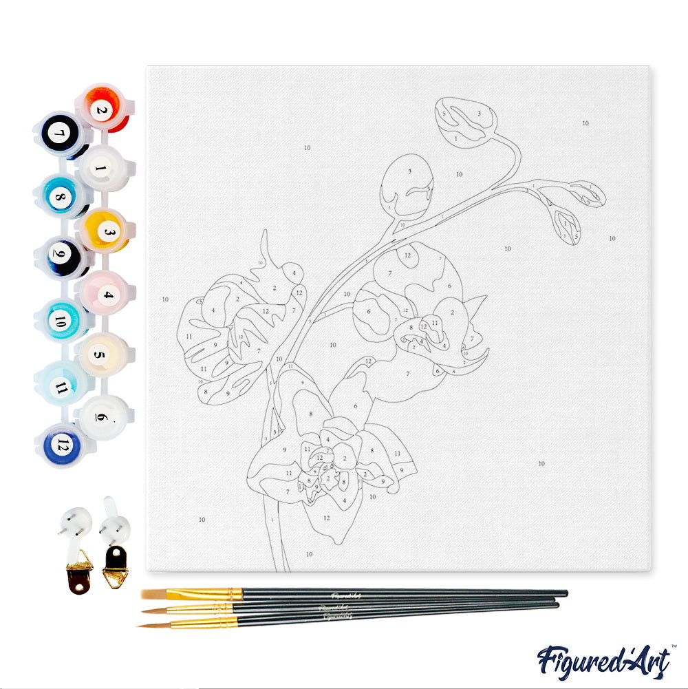 Mini Malen nach Zahlen mit Rahmen 20x20cm - Orchideenzweig 2 - Kidis Art