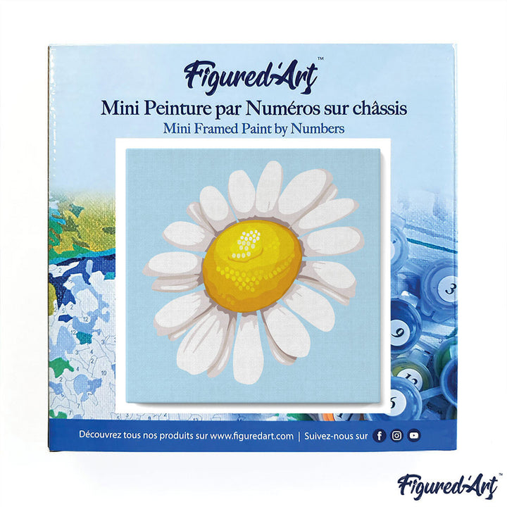 Mini Malen nach Zahlen mit Rahmen 20x20cm - Hübsche Margerite