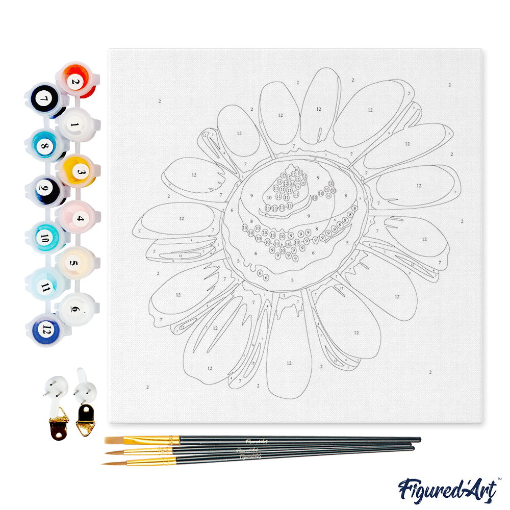 Mini Malen nach Zahlen mit Rahmen 20x20cm - Hübsche Margerite