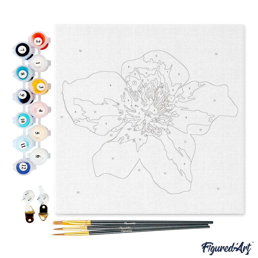 Mini Malen nach Zahlen mit Rahmen 20x20cm - Hagebuttenblüte