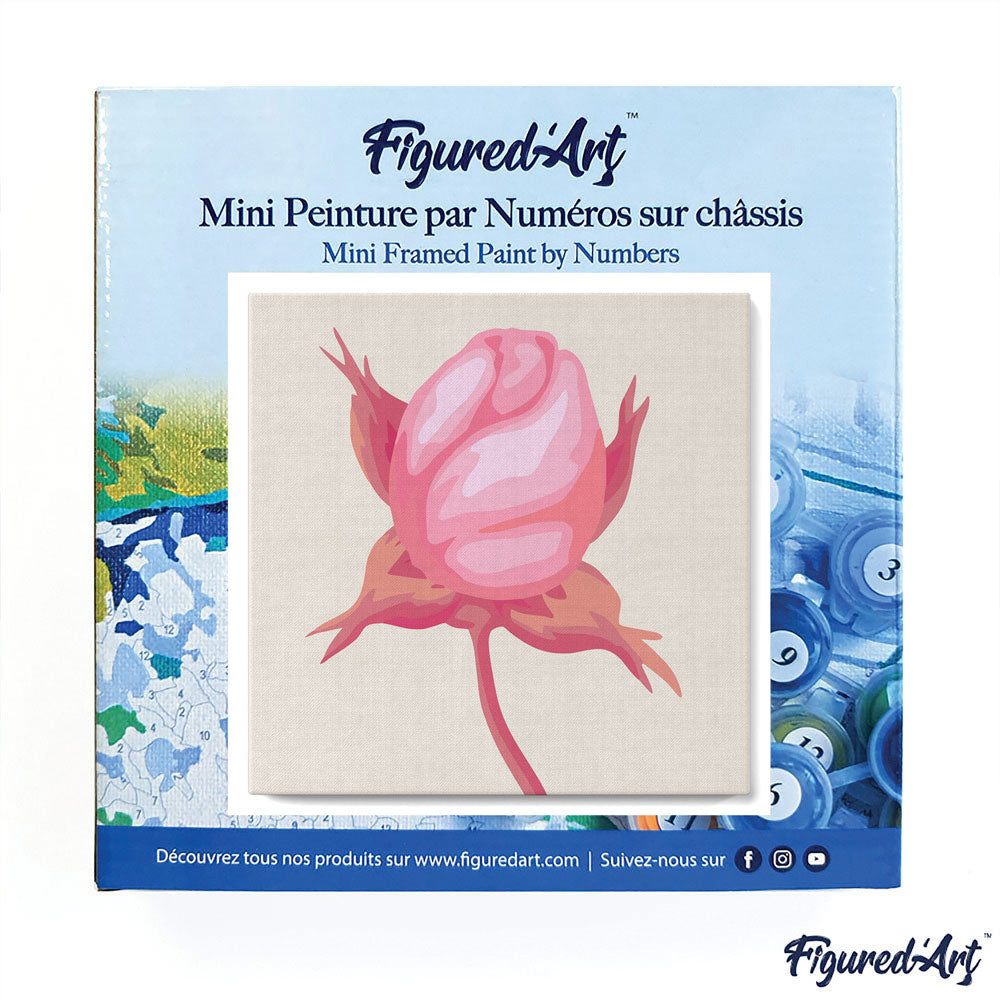 Mini Malen nach Zahlen mit Rahmen 20x20cm - Rosenknospen