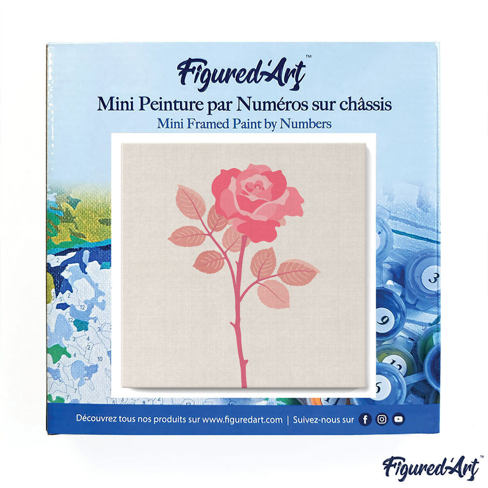 Mini Malen nach Zahlen mit Rahmen 20x20cm - Stengel Rose - Kidis Art