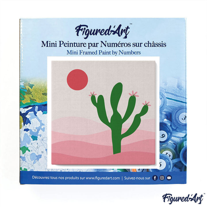 Mini Malen nach Zahlen mit Rahmen 20x20cm - Kaktus