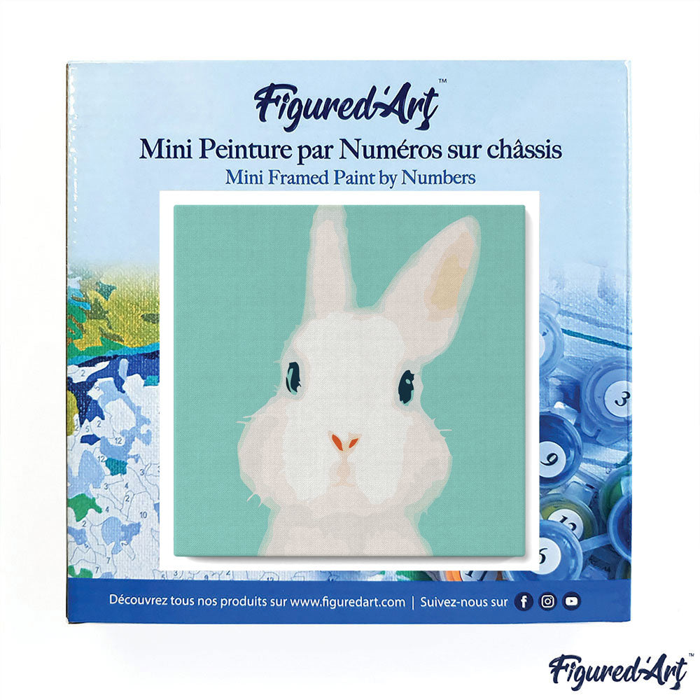 Mini Malen nach Zahlen mit Rahmen 20x20cm - Weisser Hase - Kidis Art
