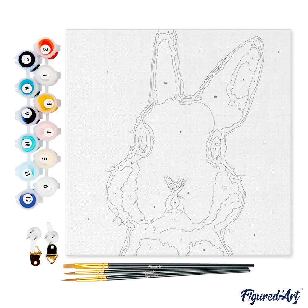 Mini Malen nach Zahlen mit Rahmen 20x20cm - Weisser Hase