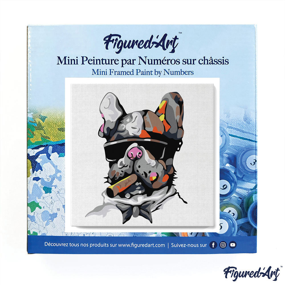 Mini Malen nach Zahlen mit Rahmen 20x20cm - Hund mit Zigarre