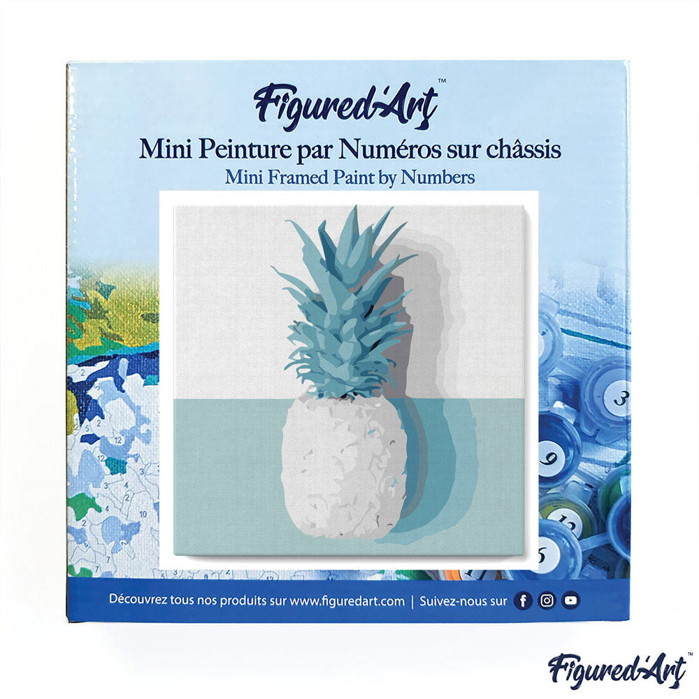 Mini Malen nach Zahlen mit Rahmen 20x20cm - Ananas - Kidis Art
