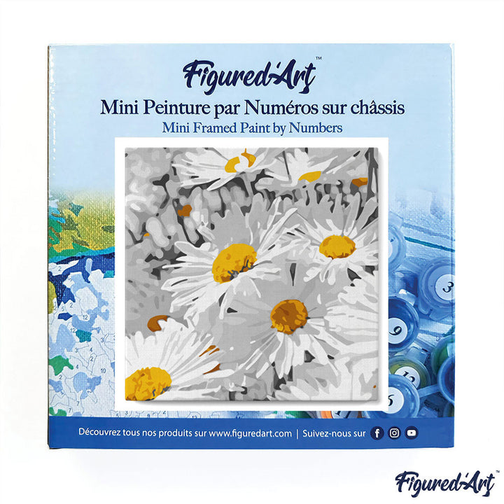 Mini Malen nach Zahlen mit Rahmen 20x20cm - Hübsche Gänseblümchen