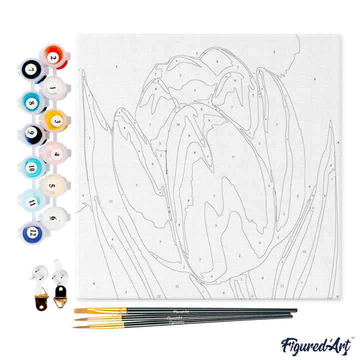 Mini Malen nach Zahlen mit Rahmen 20x20cm - Rote Tulpe