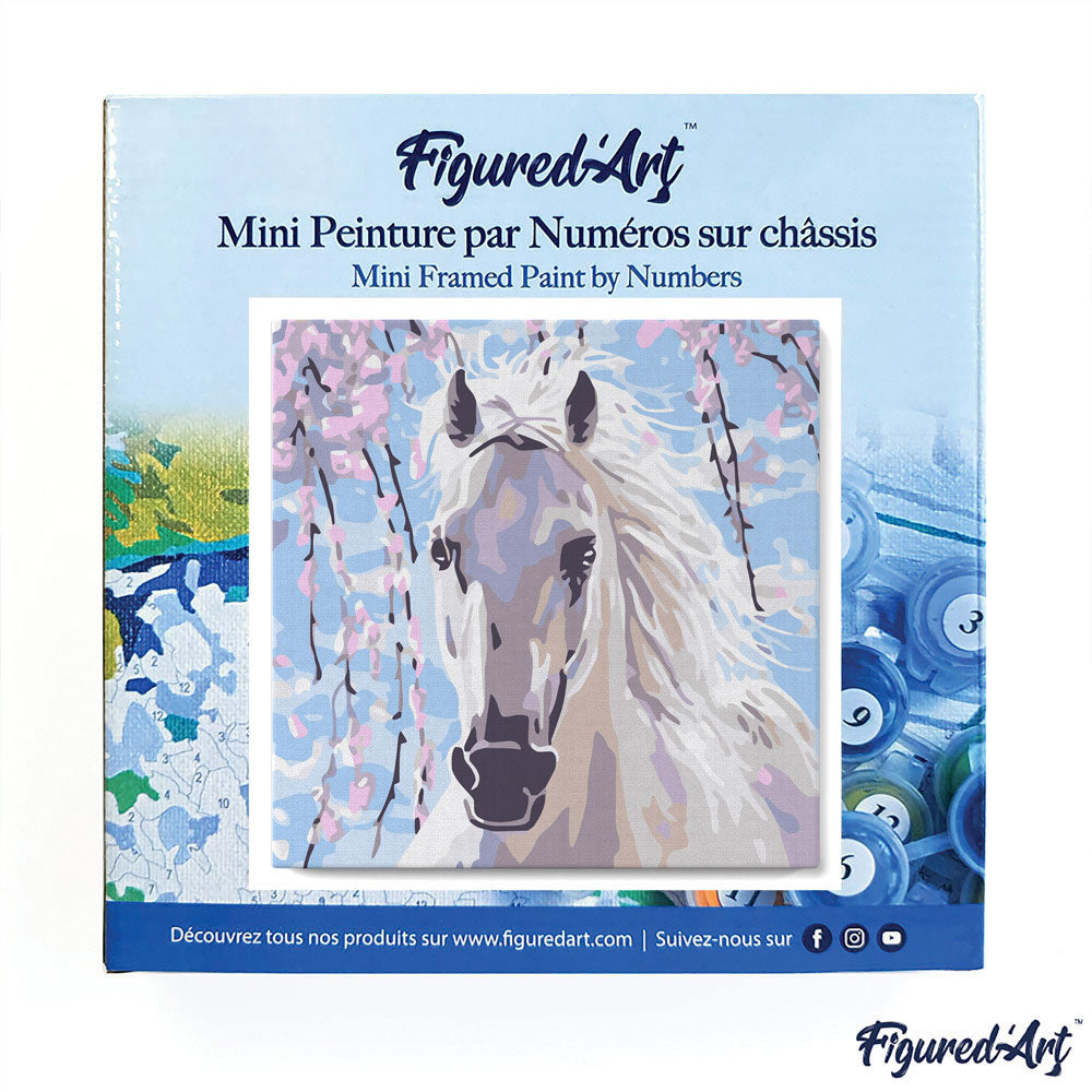 Mini Malen nach Zahlen mit Rahmen 20x20cm - Pferd und Weisse Blumen