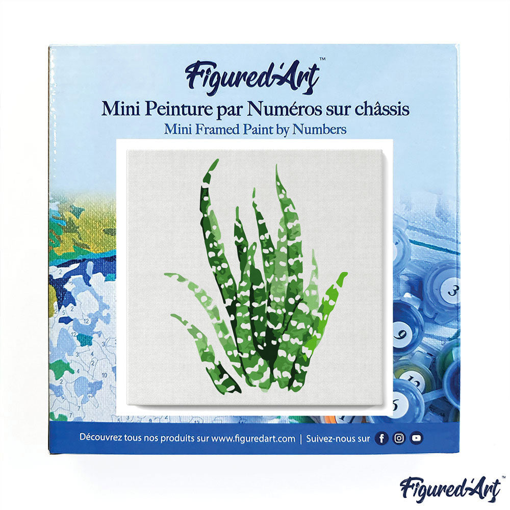 Mini Malen nach Zahlen mit Rahmen 20x20cm - Fettige Pflanze - Kidis Art