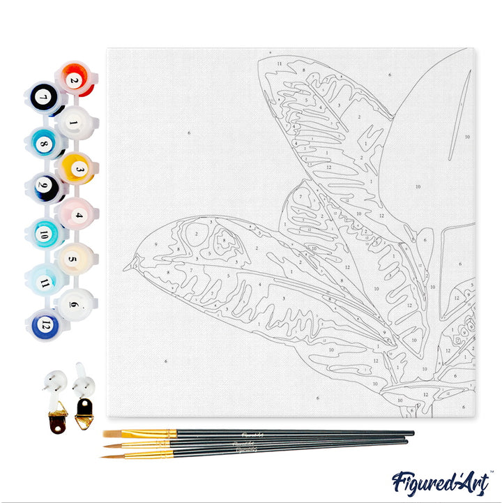 Mini Malen nach Zahlen mit Rahmen 20x20cm - Kautschuk