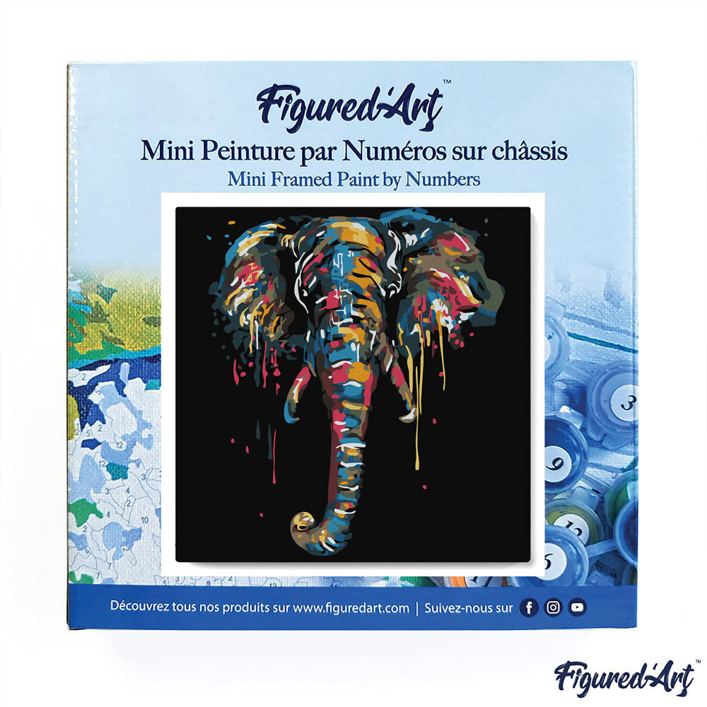 Mini Malen nach Zahlen mit Rahmen 20x20cm - Elefant - Kidis Art