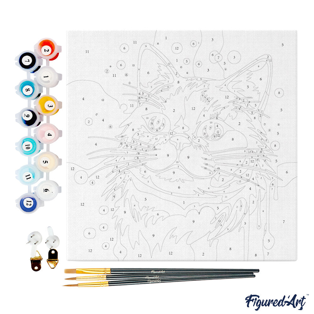 Mini Malen nach Zahlen mit Rahmen 20x20cm - Abstrakte Pop Art Katze