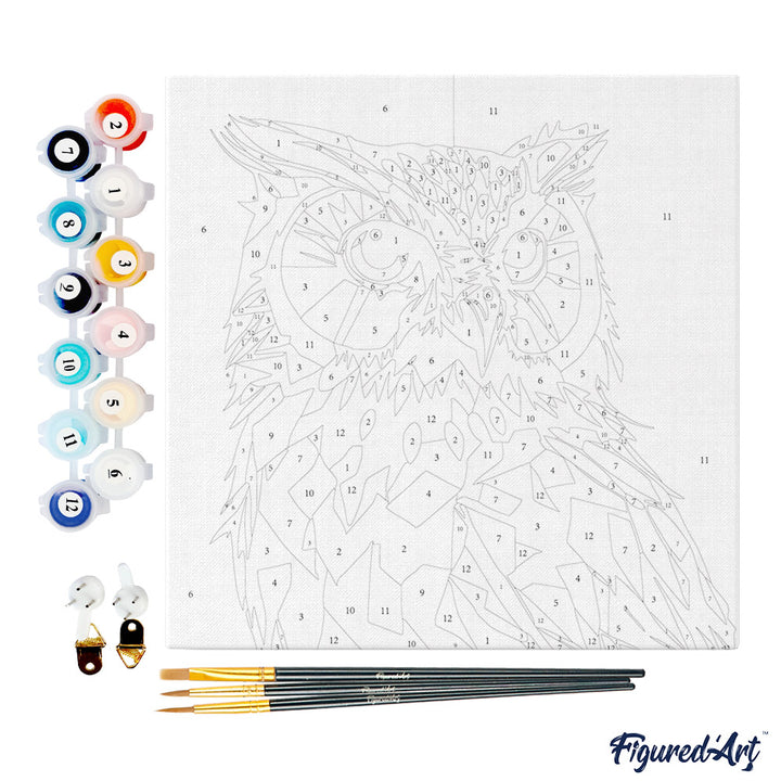 Mini Malen nach Zahlen mit Rahmen 20x20cm - Abstrakte Pop Art Eule