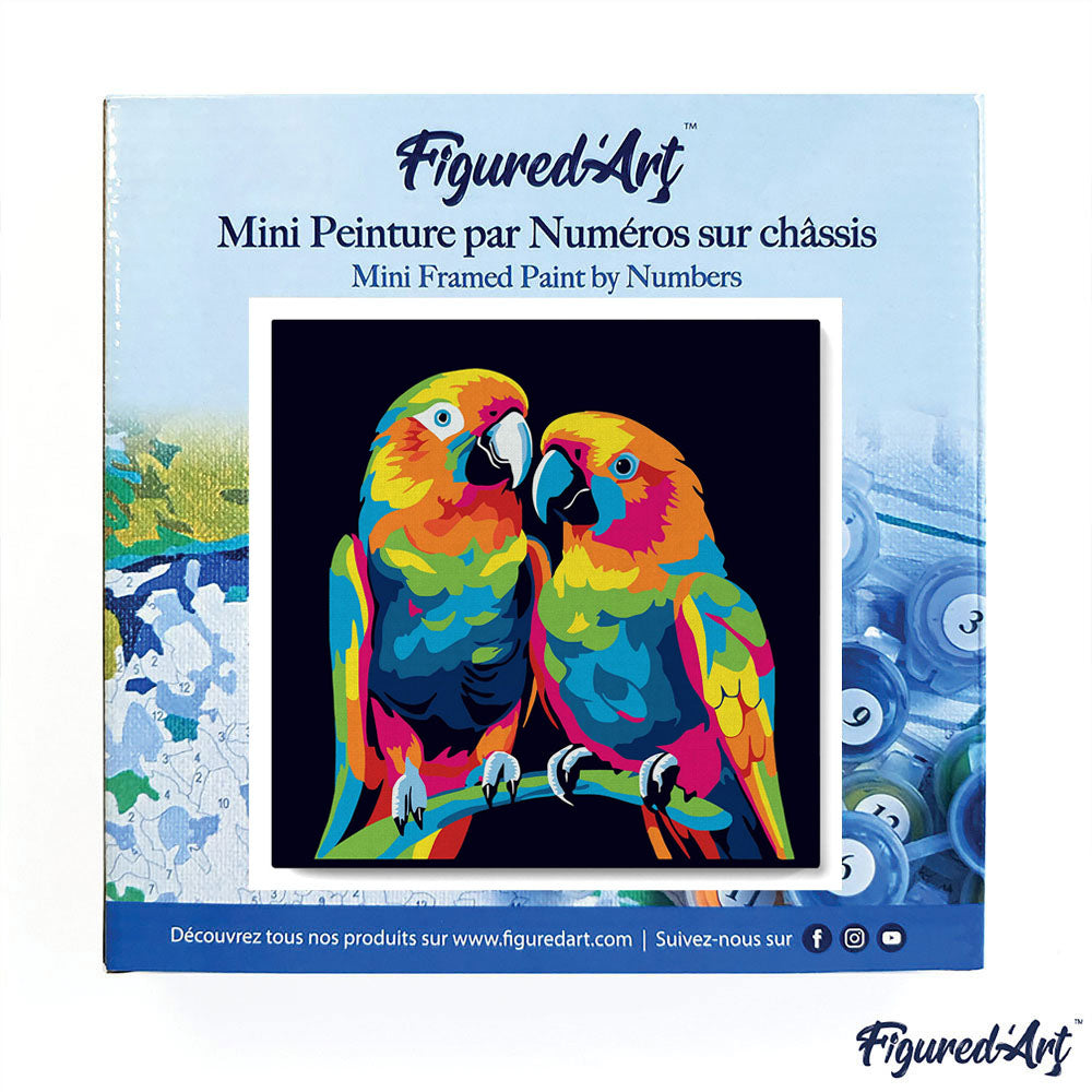 Mini Malen nach Zahlen mit Rahmen 20x20cm - Papageien Abstrakt Pop Art