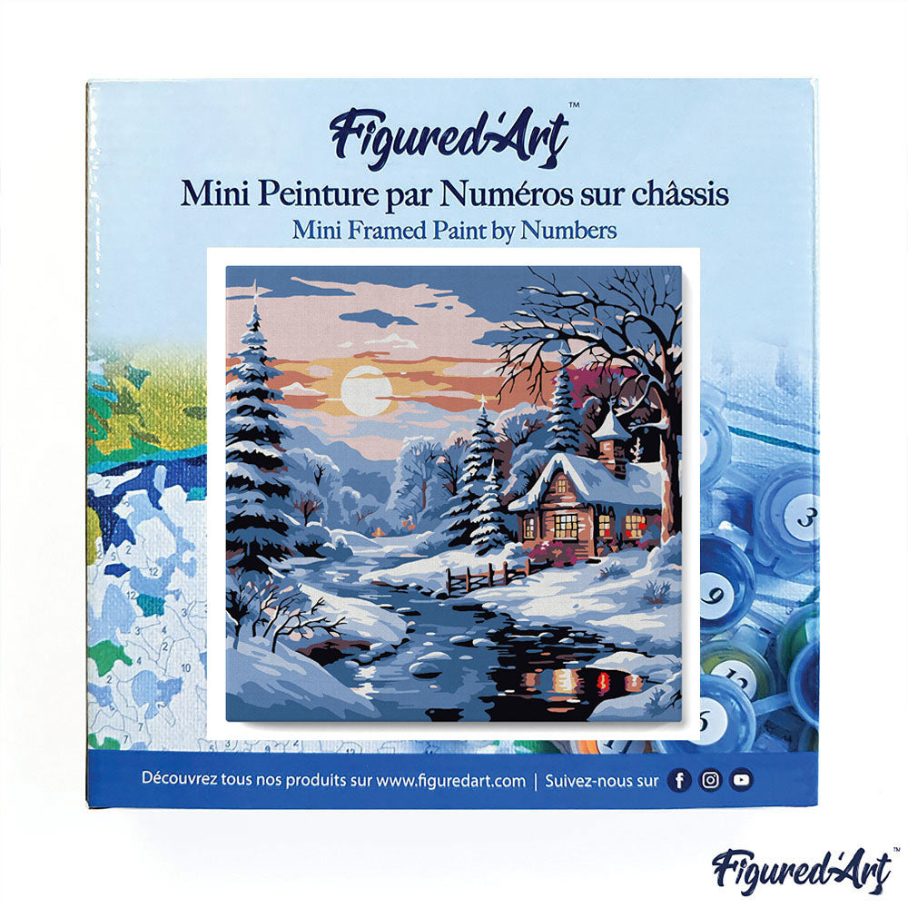 Mini Malen nach Zahlen mit Rahmen 20x20cm - Weihnachtsbaum in Schneekugel