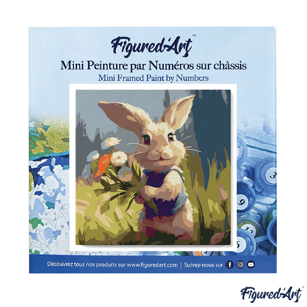 Mini Malen nach Zahlen mit Rahmen 20x20cm - Hase und Wildblumen - Kidis Art