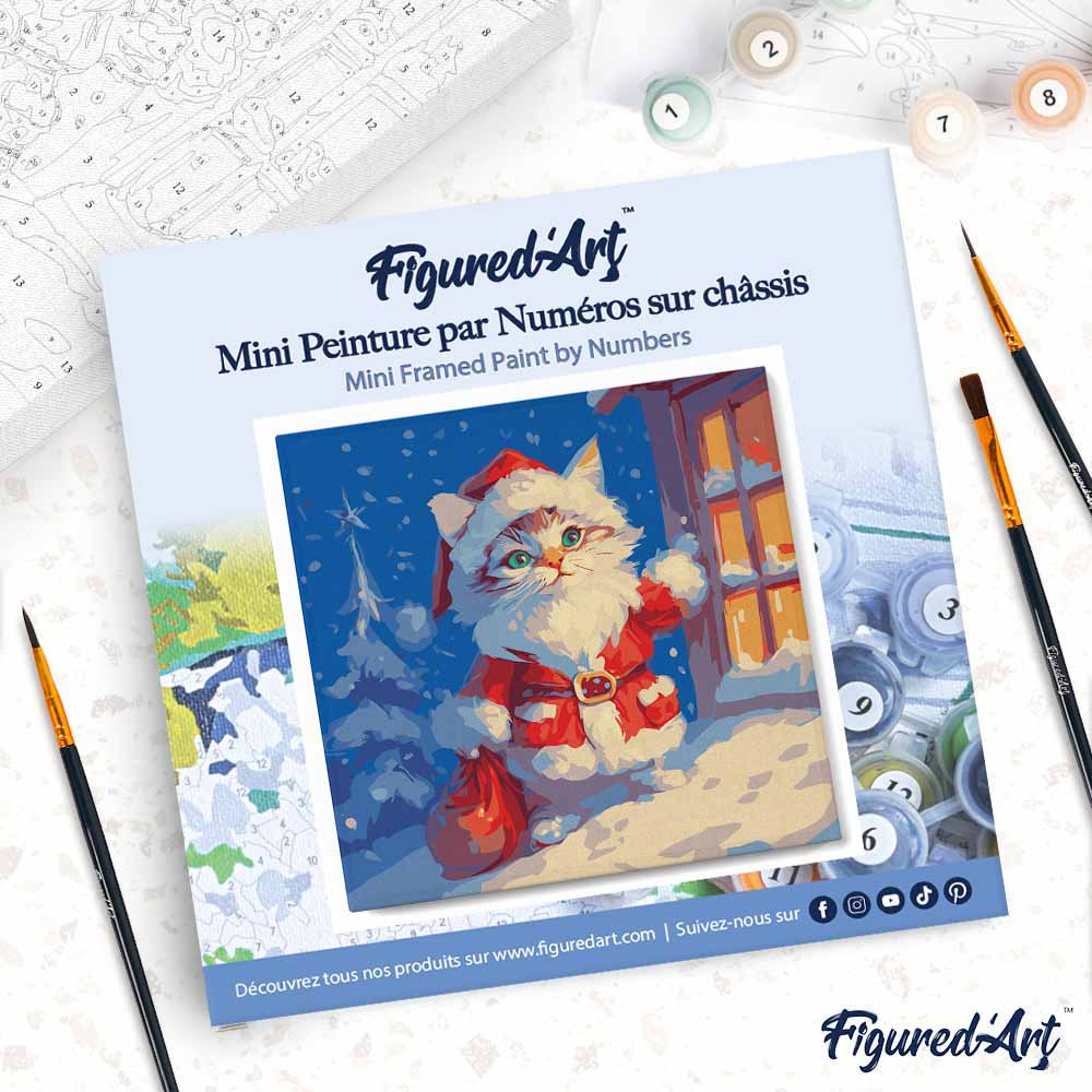 Mini Malen nach Zahlen mit Rahmen 20x20cm „Katze und Weihnachtsmann“