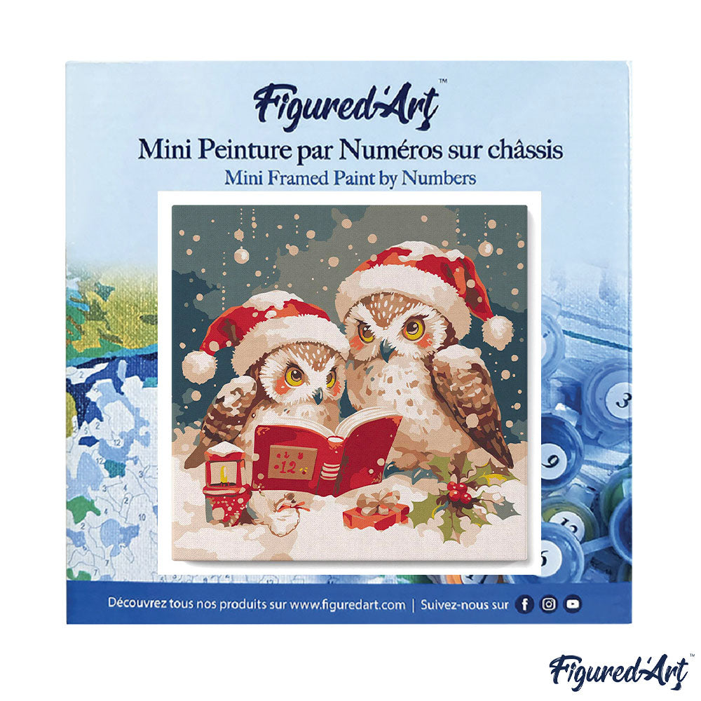 Mini Malen nach Zahlen mit Rahmen 20x20cm Eulen Weihnachtsmann beim Lesen