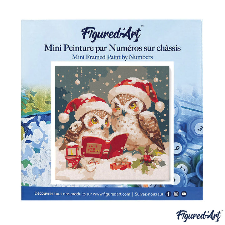 Mini Malen nach Zahlen mit Rahmen 20x20cm Eulen Weihnachtsmann beim Lesen