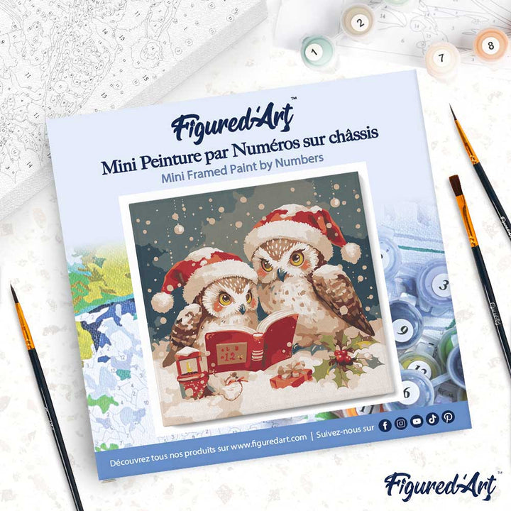 Mini Malen nach Zahlen mit Rahmen 20x20cm Eulen Weihnachtsmann beim Lesen