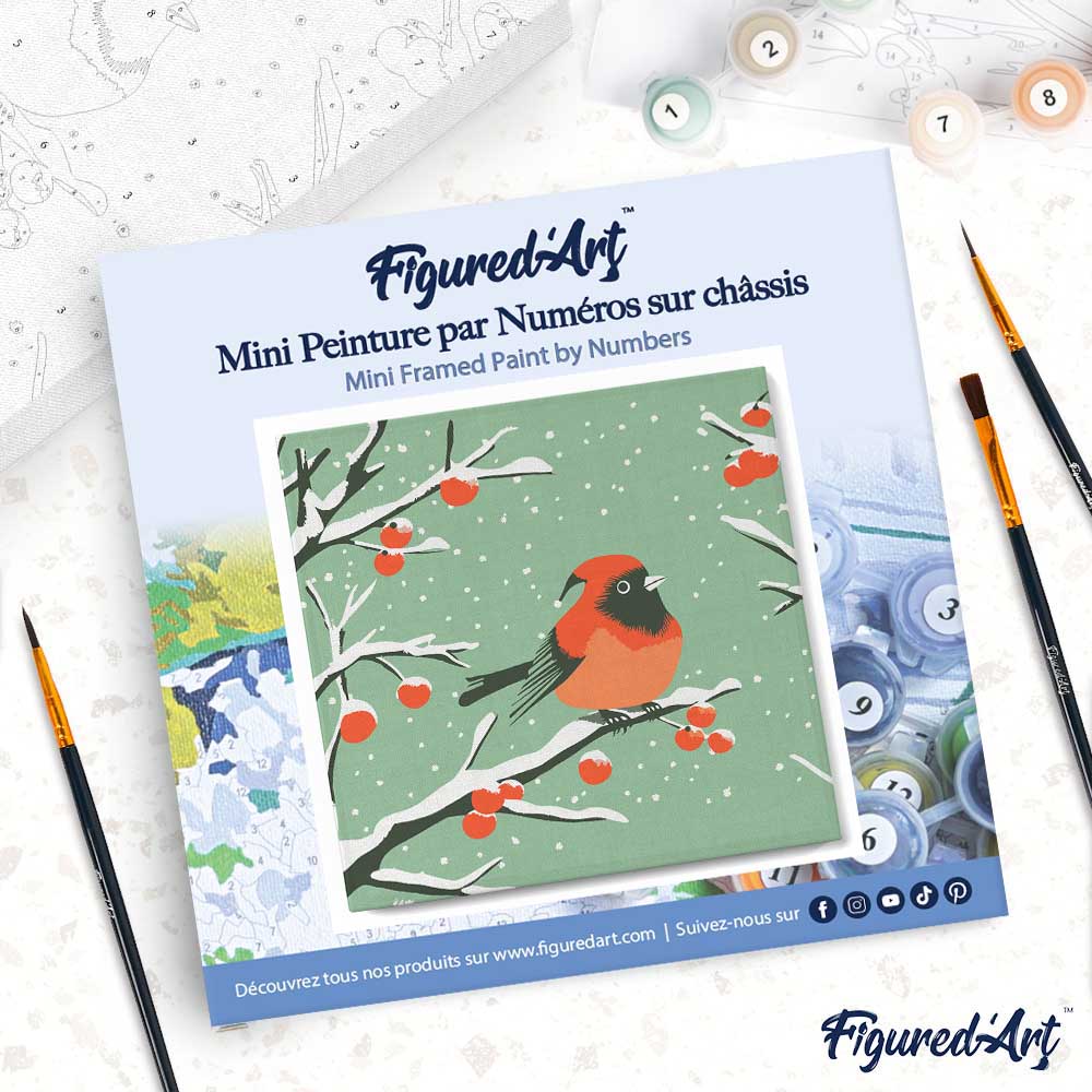 Mini Malen nach Zahlen mit Rahmen 20x20cm Rotkehlchen im Winter