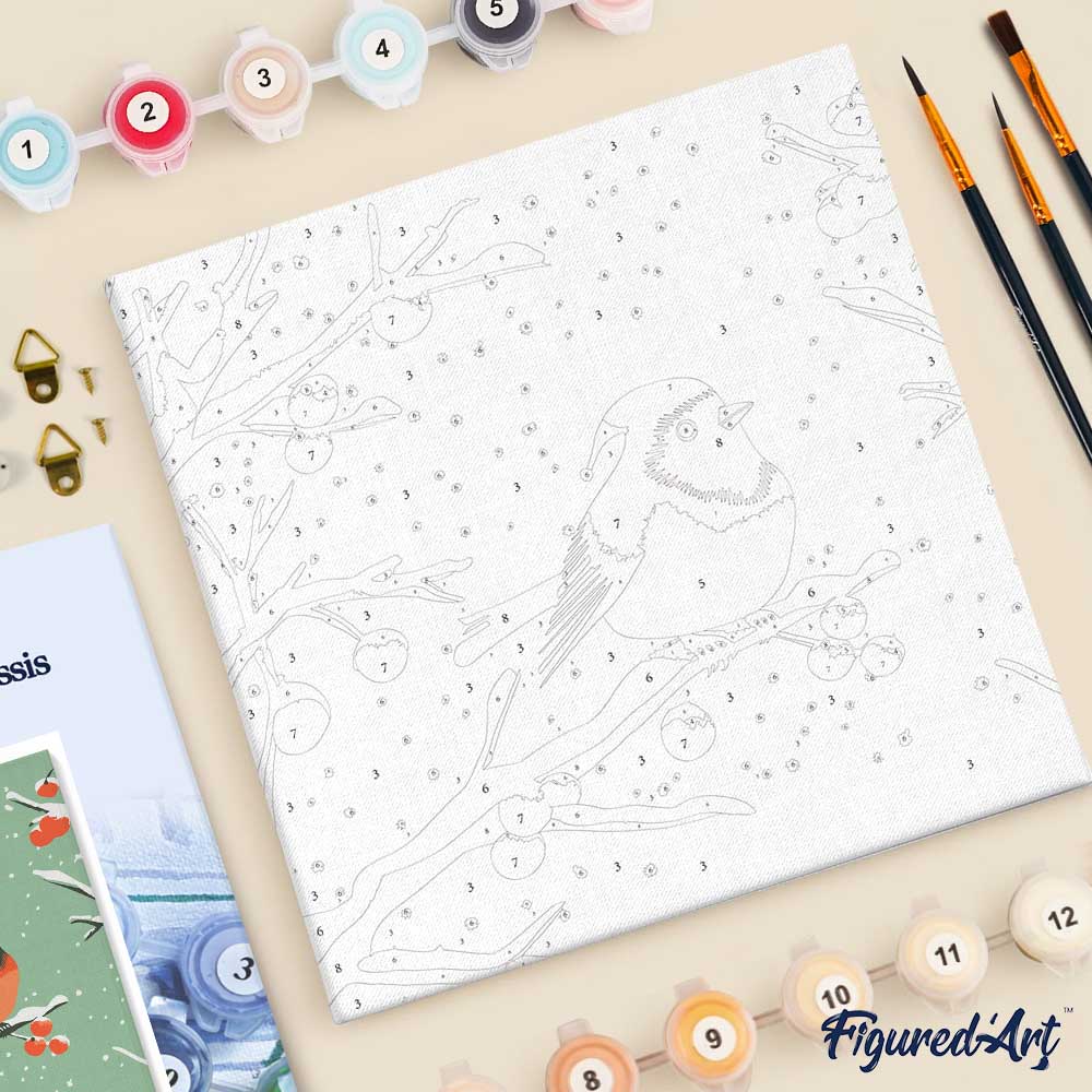 Mini Malen nach Zahlen mit Rahmen 20x20cm Rotkehlchen im Winter