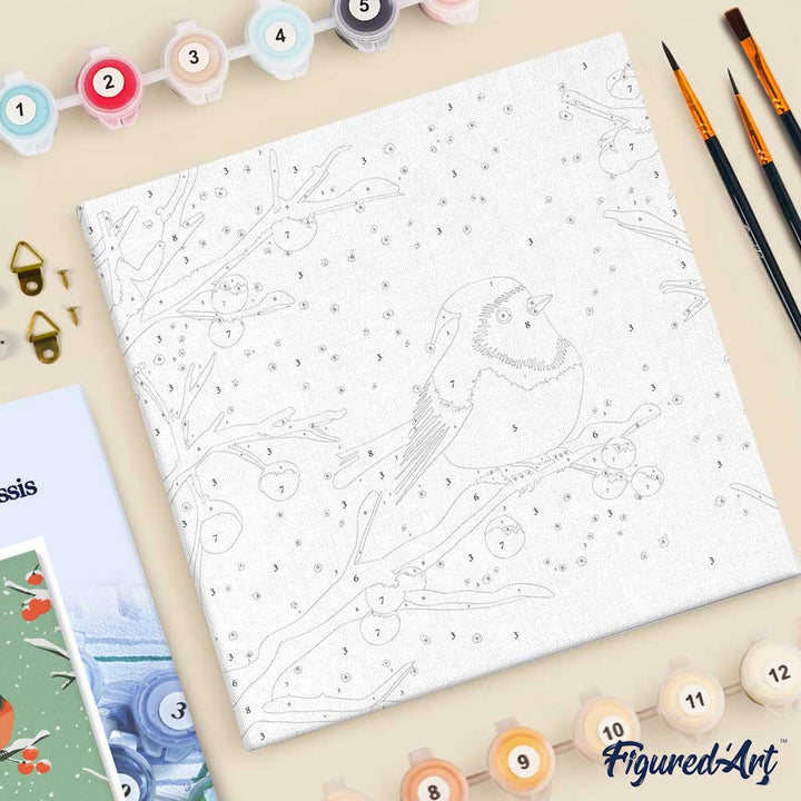 Mini Malen nach Zahlen mit Rahmen 20x20cm Rotkehlchen im Winter