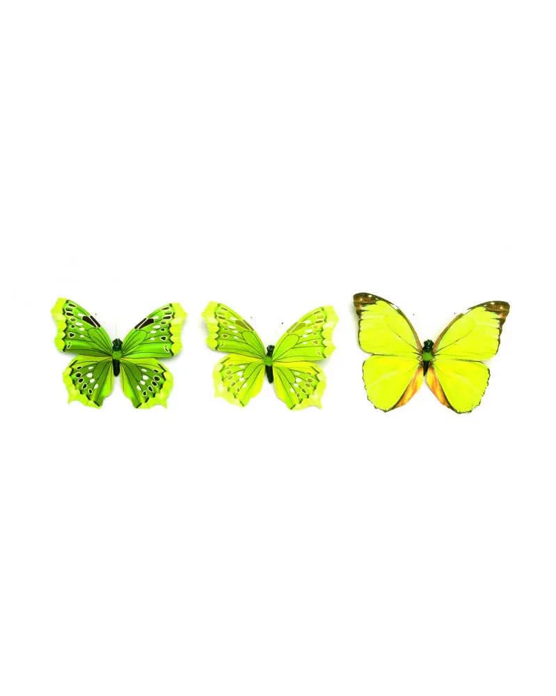 Schmetterling 3-fach sortiert 8cm grün Folie, mit Clip - Kidis Art