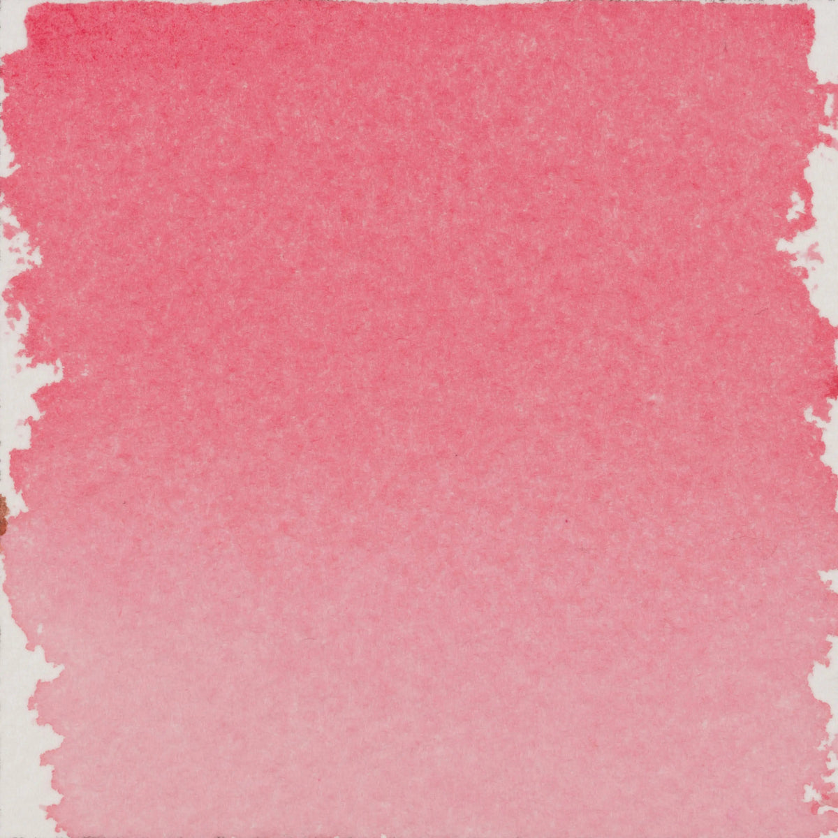 Talens | Pantone Marker-Tinte 30 ml 183 - Kidis Art