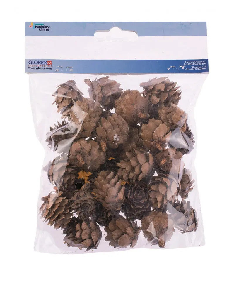 Tannenzapfen klein 60g 2-3cm