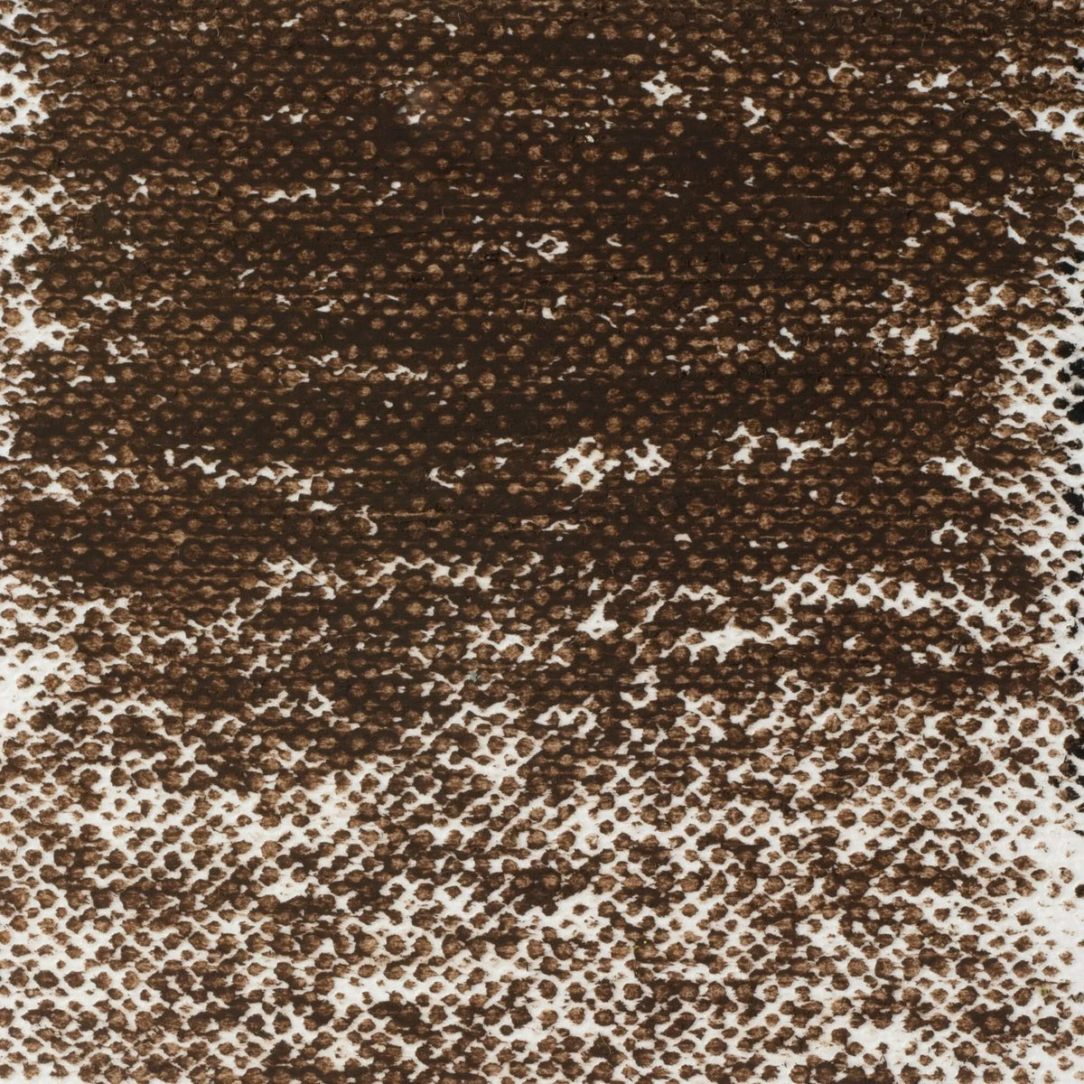 Van Gogh Ölpastell Sepia 416.5 - Kidis Art