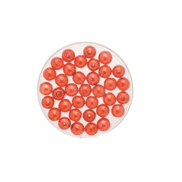 Böhmische Glasperle 6mm Wachs hyazinth 50St - Kidis Art