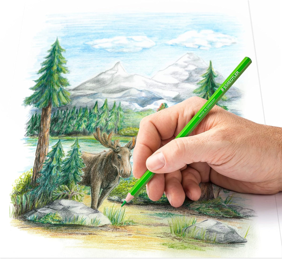 Buntstifte STAEDTLER® 146C Metallkasten, 12er - Kidis Art