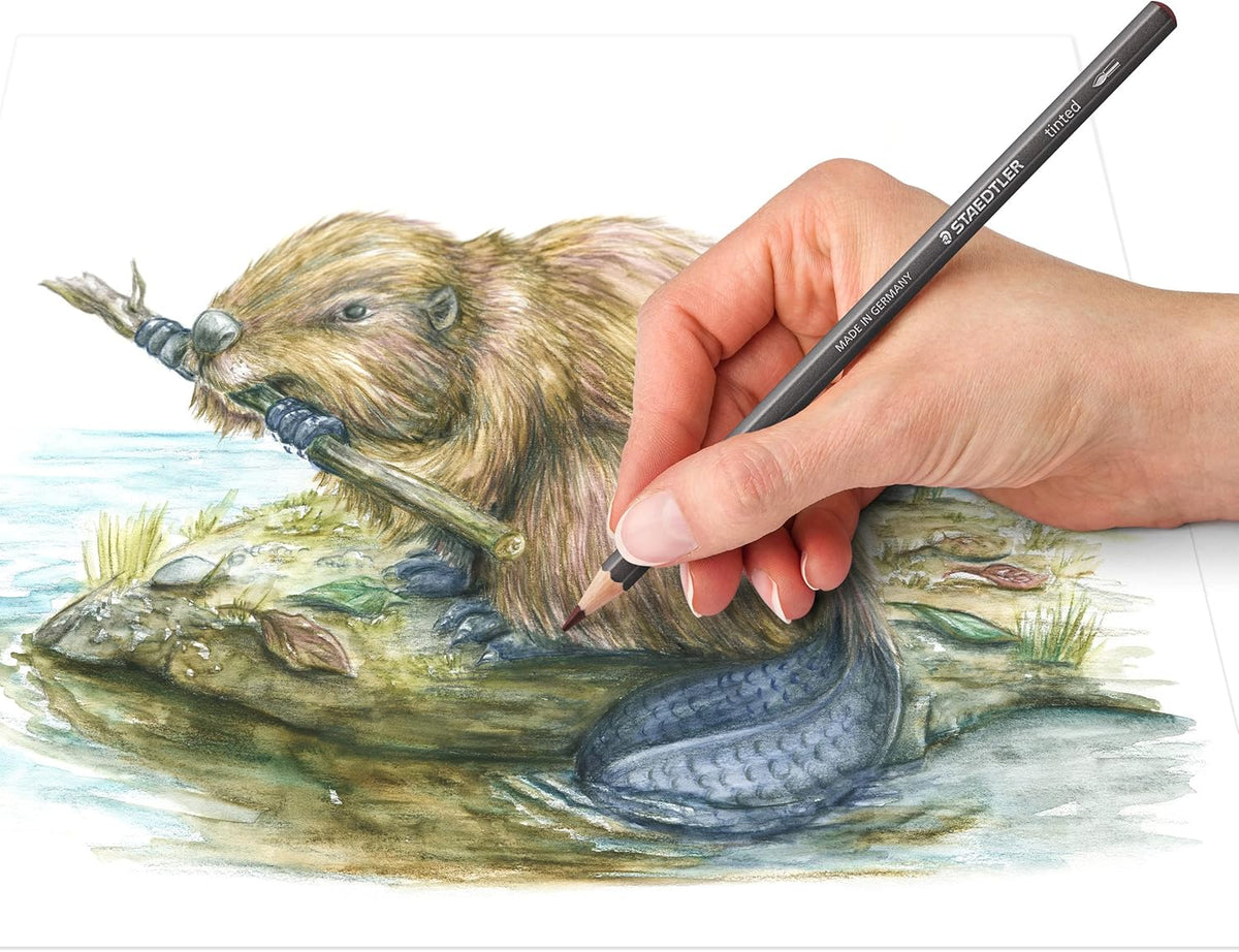 Buntstifte STAEDTLER® tinted 146 10T multi-color - Kidis Art