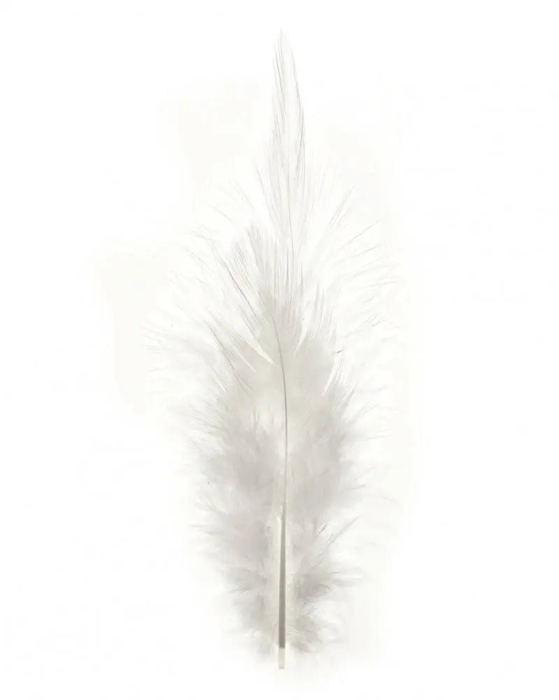 Deco - Federn ca. 15St weiss - Kidis Art
