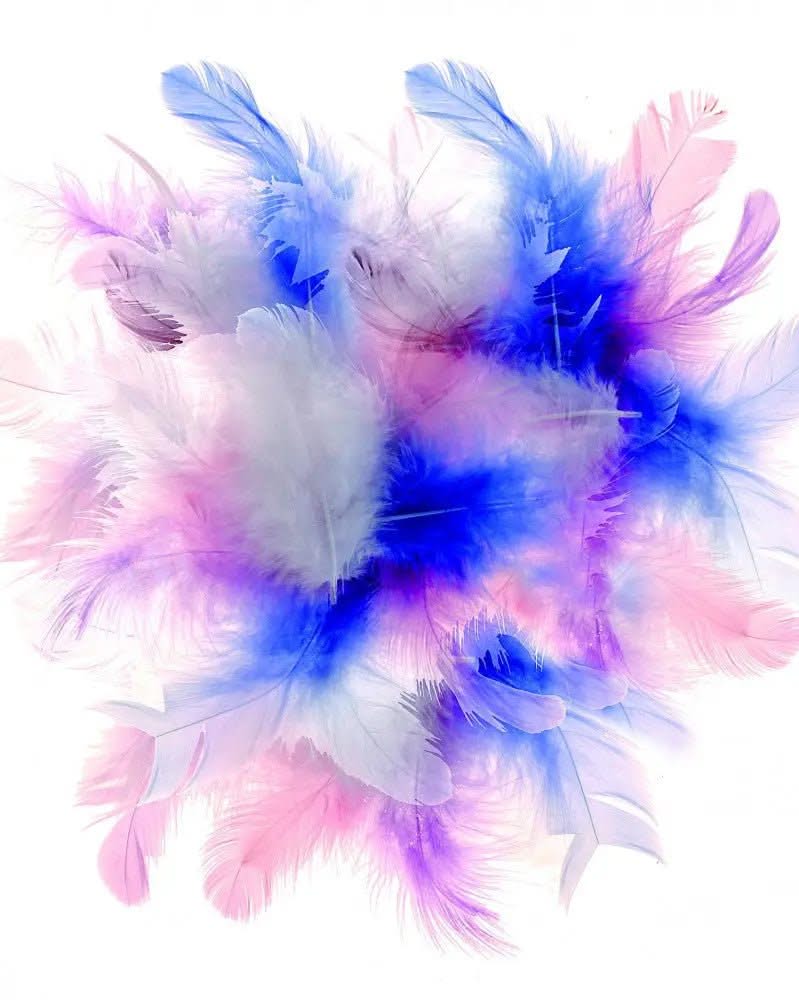 Deco-Federn pastell Mix 2g - Kidis Art