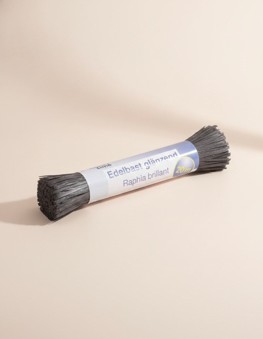Edelbast 20m schwarz, glänzend Viscose 10g - Kidis Art