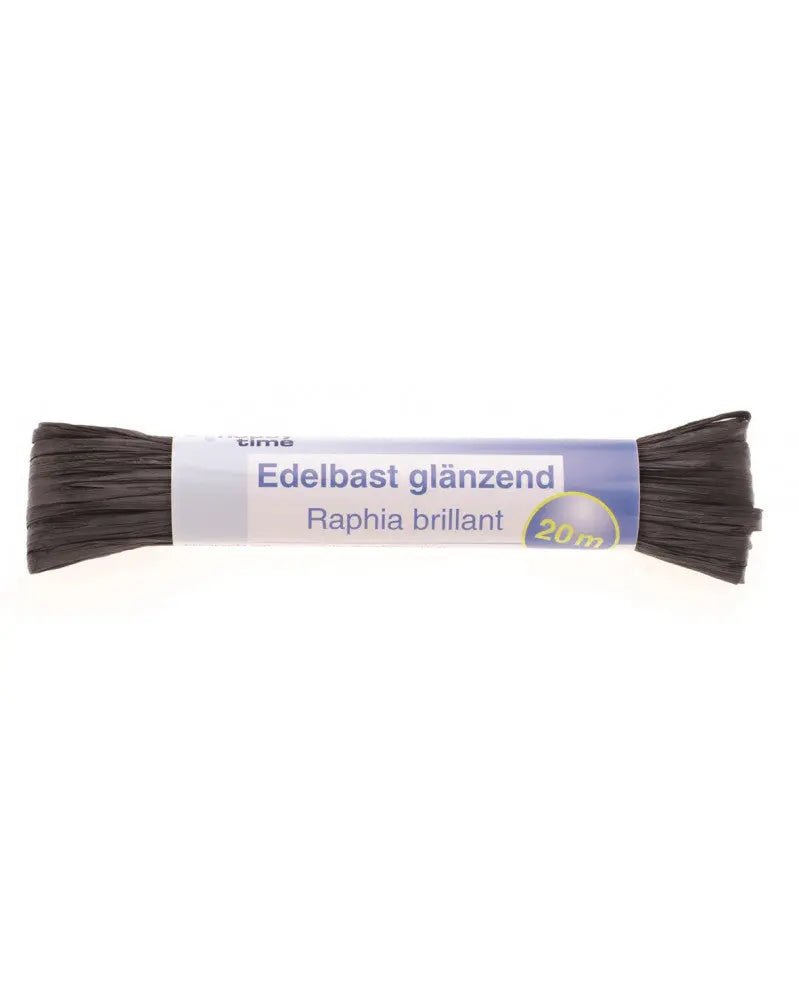 Edelbast 20m schwarz, glänzend Viscose 10g - Kidis Art