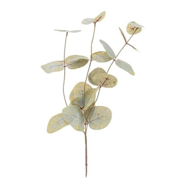 Eukalyptus-Zweig 37cm - Kidis Art