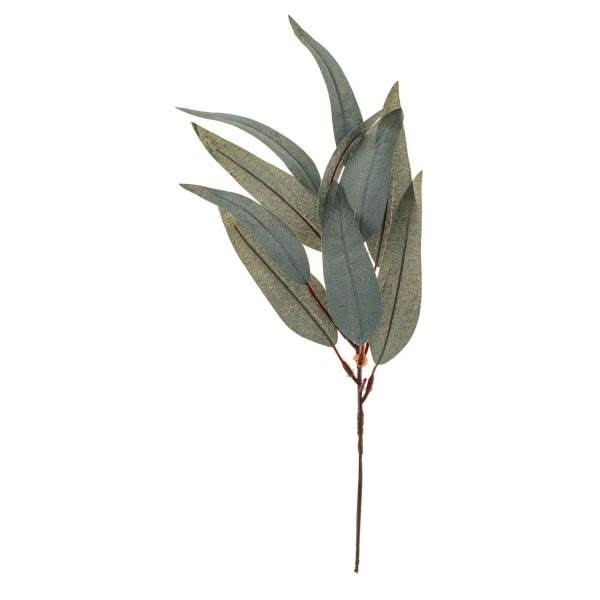 Eukalyptus-Zweig 38cm - Kidis Art