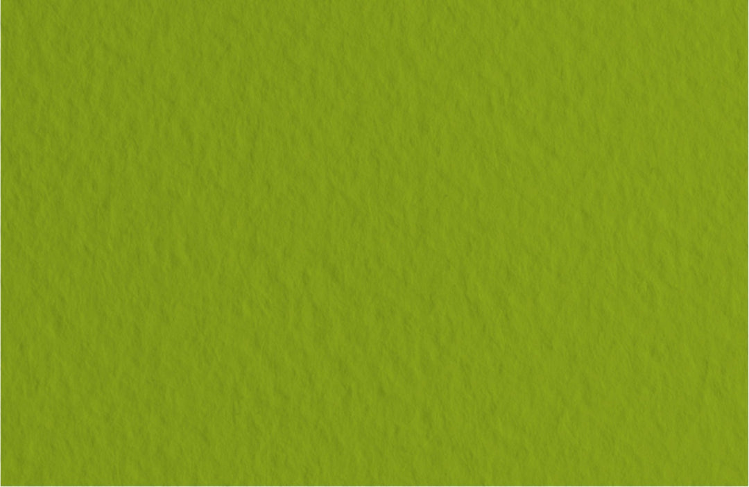 Fabriano Tiziano Bogen "Pistacchio" - A4 - 160g - Kidis Art