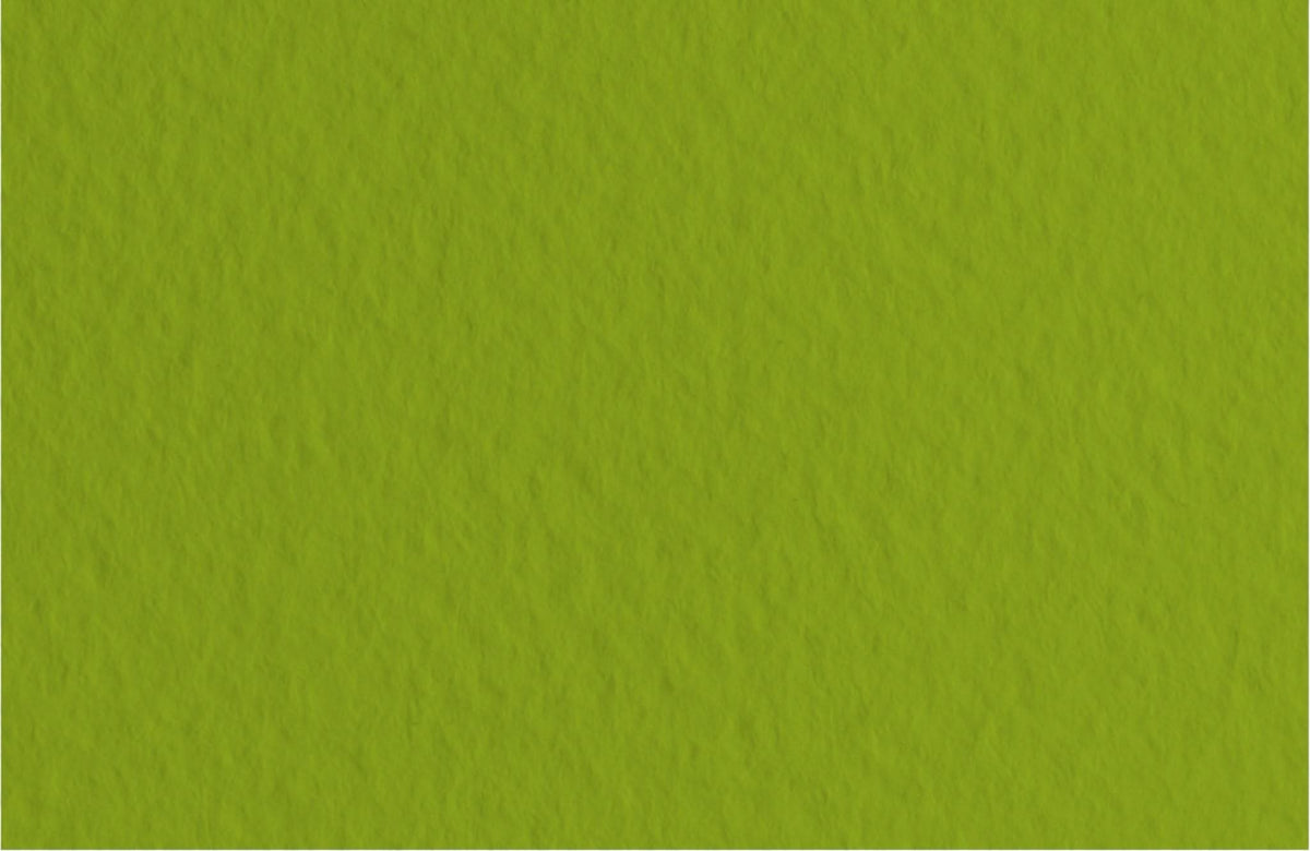 Fabriano Tiziano Bogen "Pistacchio" - A4 - 160g - Kidis Art