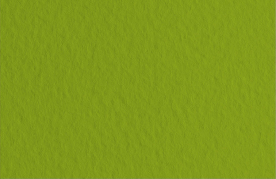 Fabriano Tiziano Bogen "Pistacchio" - A4 - 160g - Kidis Art