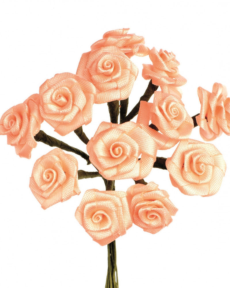 Diorröschen 12 Blüten coral, SB-Ausführung