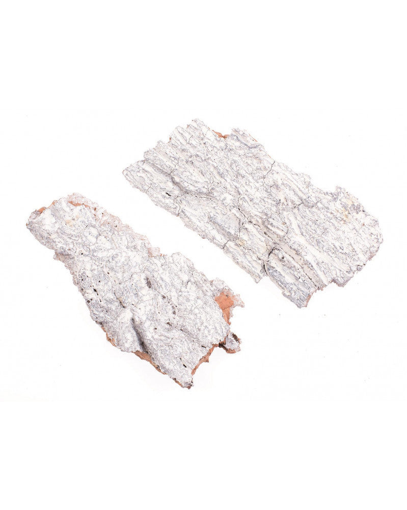 Birkenrinde weiss 3St ca. 17x7cm