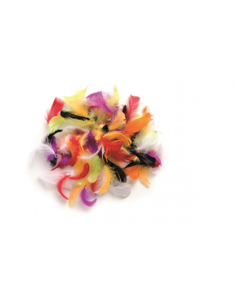 Deco-Federn multicolor 2g